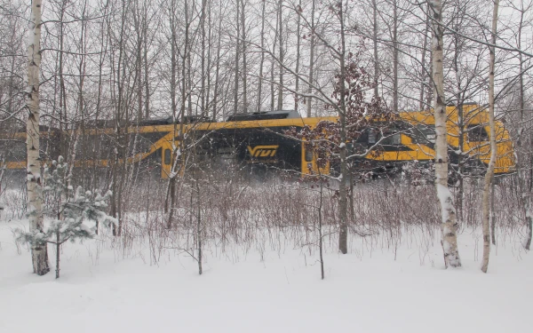 “You can’t rely on trains”: passengers doubt the reliability of “Vivi” in winter