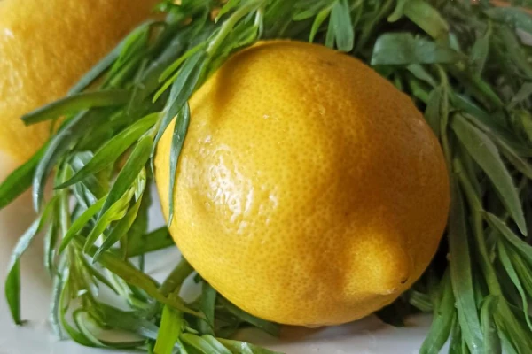 Why You Should Freeze Lemon? Here Are Two Compelling Reasons
