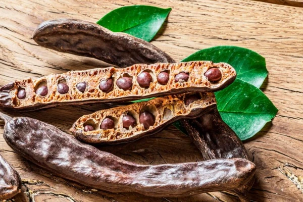 Carob: a Healthy Cocoa Substitute and Superfood for Health