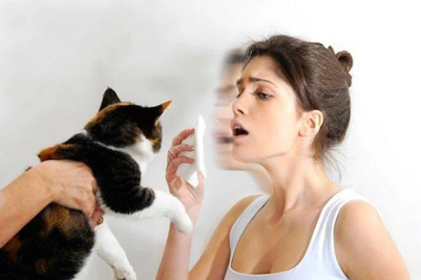 Can Cats Mimic Human Speech?