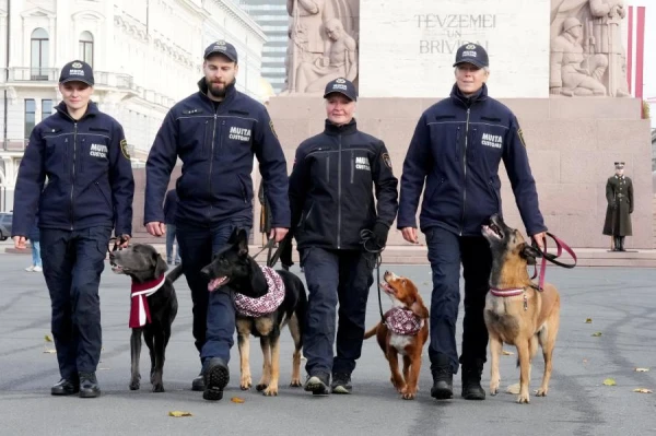 SGB: Sanction Violators Continue to Develop New Evasion Schemes