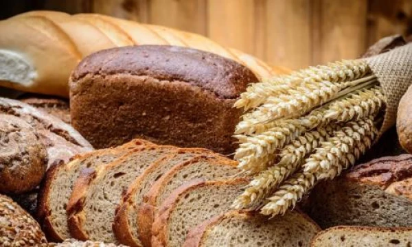 Why is bread primarily made from grains rather than seeds of other plants?