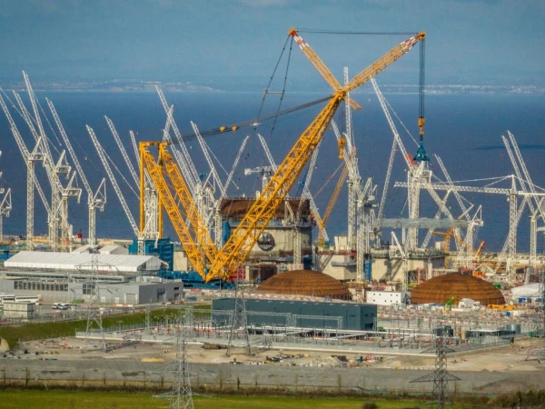 Britons to Set Up a 'Fish Disco' for £700 Million