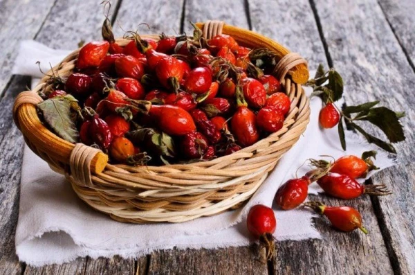 The Benefits and Risks of Rosehip: 8 Reasons to Love These Fruits Even More