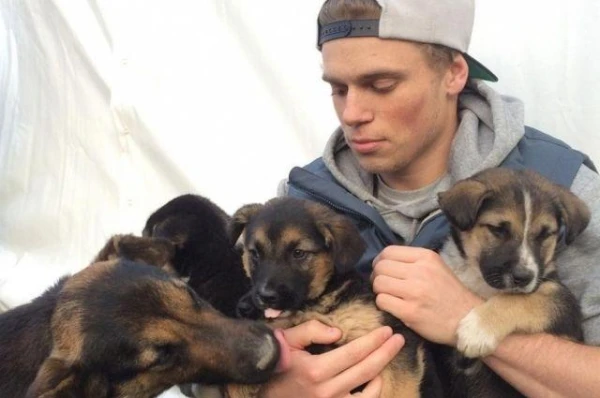 Can Animals Participate in the Olympic Games?