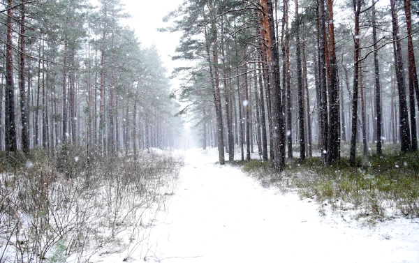The influence of the cyclone is intensifying from the west