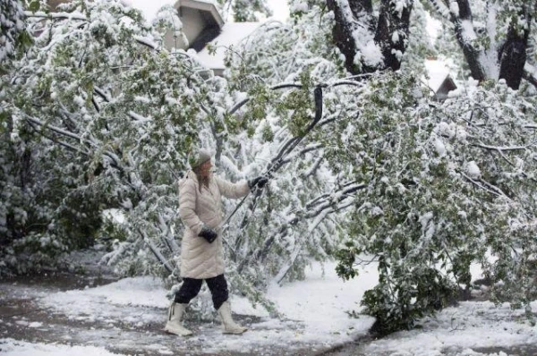 What garden work can be done in February?