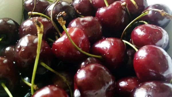 Why You Should Graft Cherry Trees in Your Garden?