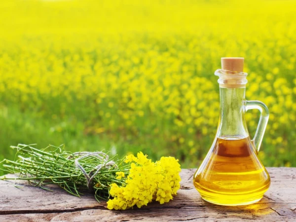 Dietitian: Canola oil reduces inflammation levels