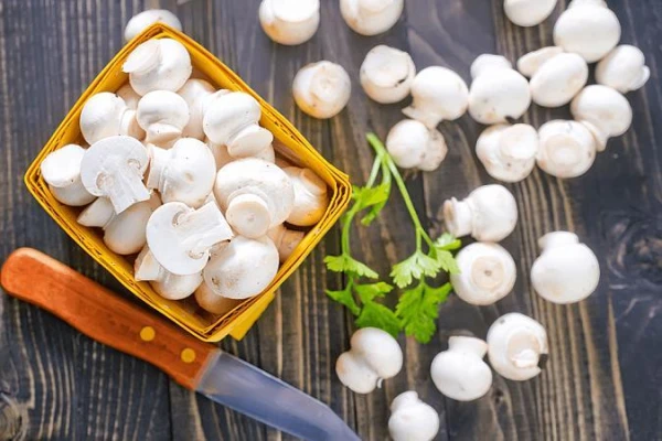 Mushrooms: A Product That Supports Heart and Nervous System Health