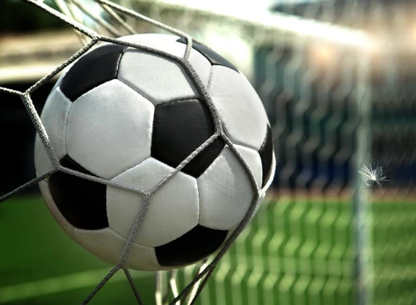 Monaco fined €425,000 due to the absence of a license for the team's head coach