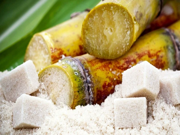 Producers Are Struggling: The Fight Against Obesity Has Crashed Sugar Prices