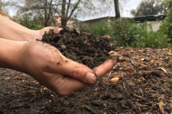 How to Improve Soil Condition?