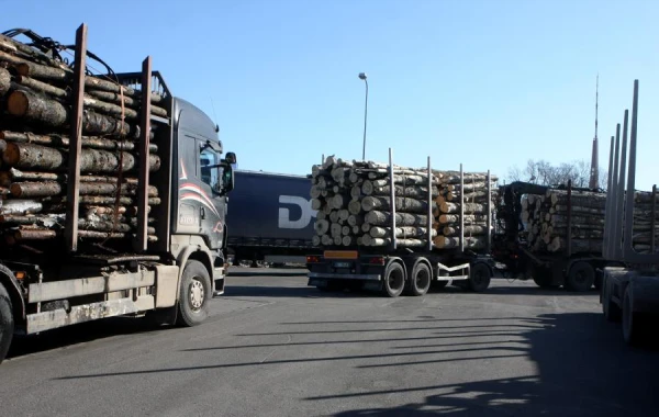 Volume over Quality: Latvia's Export Shows Low Added Value