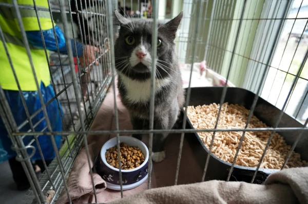 Night Veterinary Care at the Expense of the State? The Ministry of Agriculture Responded