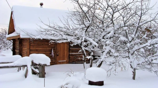 What to Do at the Dacha Before the End of February: Gardener's Tips