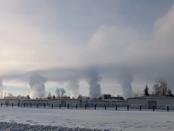 Фото очевидца.