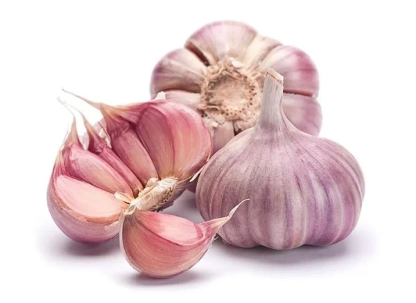 The professor explained how garlic can harm even healthy people