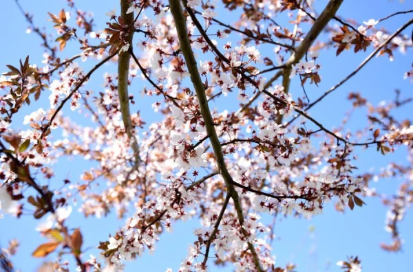 The doctor explained how to prepare the body for the spring period