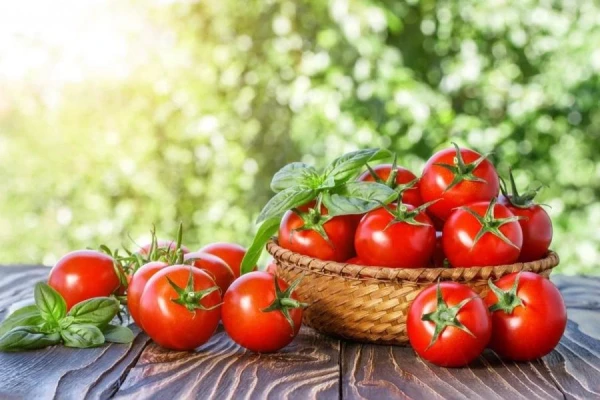 Anti-Aging: Youth-Renewing Tomatoes and Other Products That Help Maintain Youth