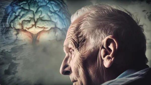 Oil Capable of Protecting the Brain from Age-Related Changes Named