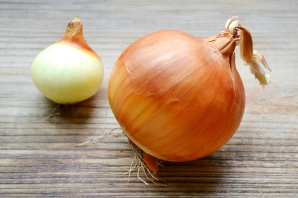 Why does an onion form layers?