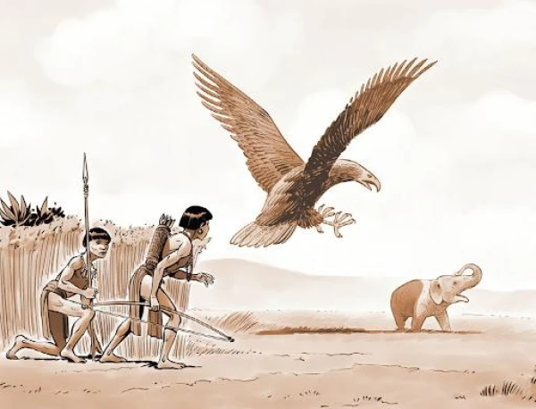 Where Did the Roc Bird Live?