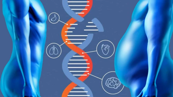 Genetics vs. Lifestyle: What Determines Longevity