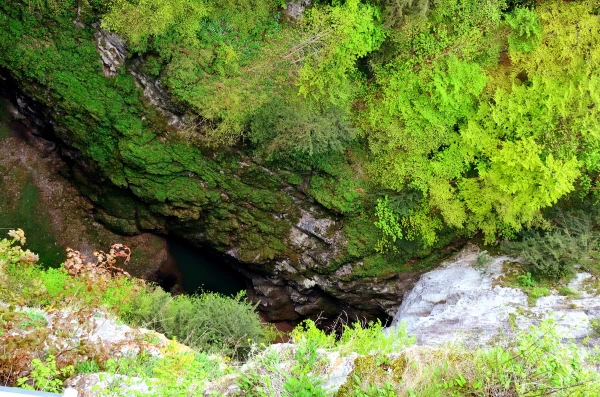 A Glimpse into the Abyss: A Journey to the Bottom of the Legendary Macocha Gorge