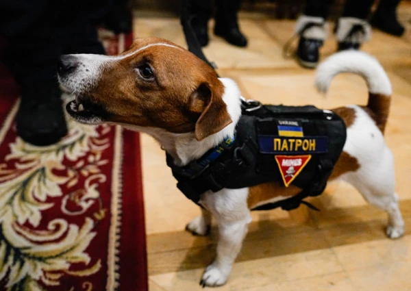 Пес Патрон – официальный амбассадор ВСУ, встречает гостей с Латвии. Фото: saeima.lv.