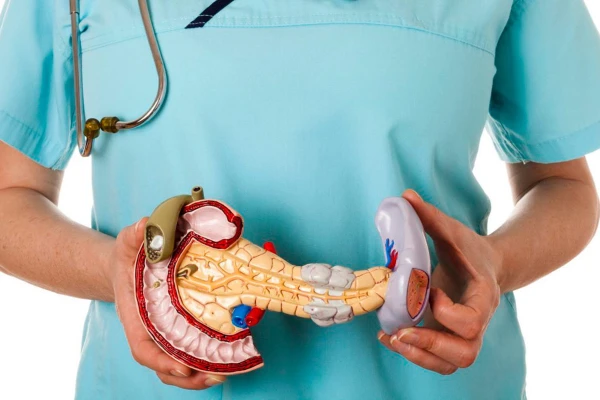 Five Signs of Pancreatic Problems and What to Do to Protect the Organ