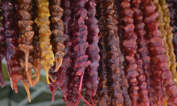 Churchkhela: Health Benefits and Contraindications