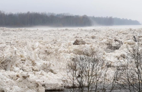 Иллюстративное фото.