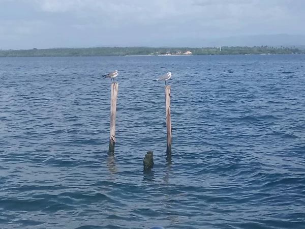 Cuban Coast Guard Shoots Four on Boat from the U.S.