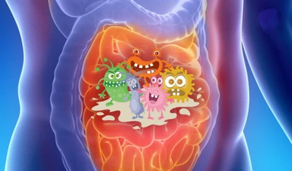 How Gases Can Warn About Digestive Disorders: Everything You Need to Know