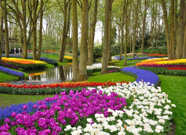 Flower Tourism: 8 Best Places in Europe to Admire Blooming Plants