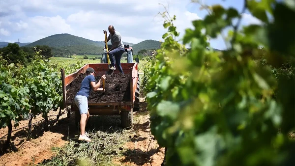 Фермеры — небольшая, но очень заметная часть французского общества.