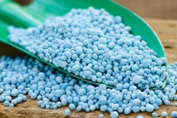 How to Properly Apply Fertilizers to Young Fruit Trees?