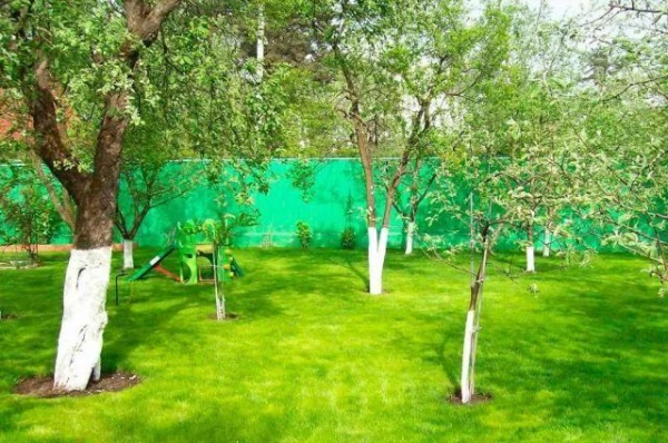 Breathe Deeply: The Scent of Ripe Fruits Defeats Cancer Cells