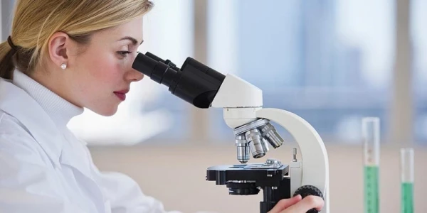 Scientists Conclude That Sperm Motility Depends on the Time of Year