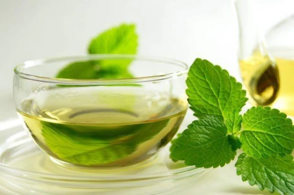 How to Grow Mint on a Windowsill?