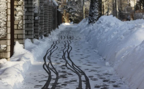 Warm and Sunny - Forecasters Promise Great Weather