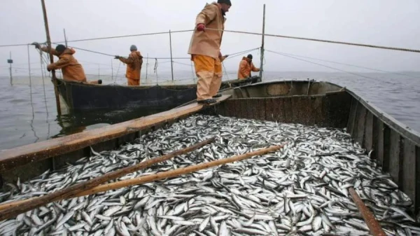 What Causes the Unpleasant Smell of Fish?