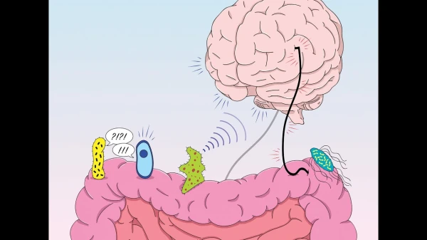 Gut Bacteria and Appetite: Why Sometimes We Eat Against Our Will