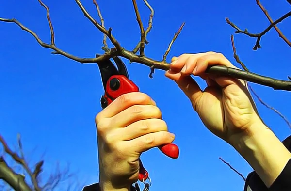 March at the Cottage: What Work is Important to Complete at the Beginning of Spring