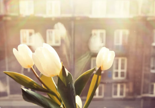 It Will Get Significantly Warmer in Latvia - Meteorologists