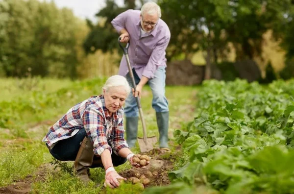 Gardening Makes People Happier in Old Age
