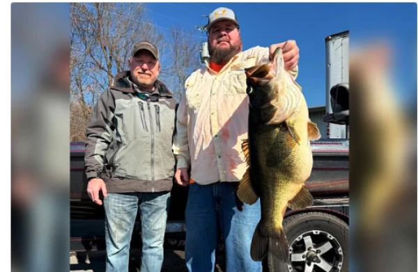 Фото: Hensley Powel