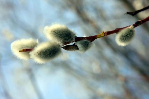 Meteorologists Announce Weather Forecast for Saturday in Latvia