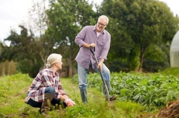 Expert Highlights Hobby That Contributes to Longevity